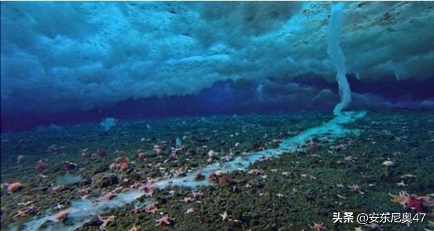 南极海底出现死亡冰柱是什么原因,南极死亡冰柱形成速度