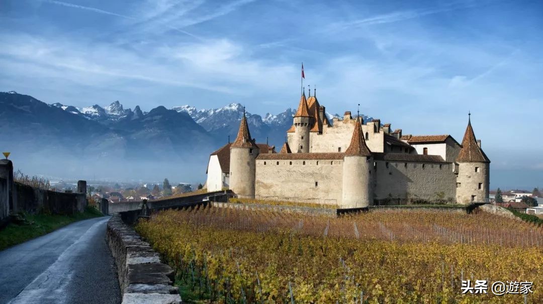 瑞士人竟然这么爱喝,拥有是世界遗产的葡萄园,作业还在靠手工