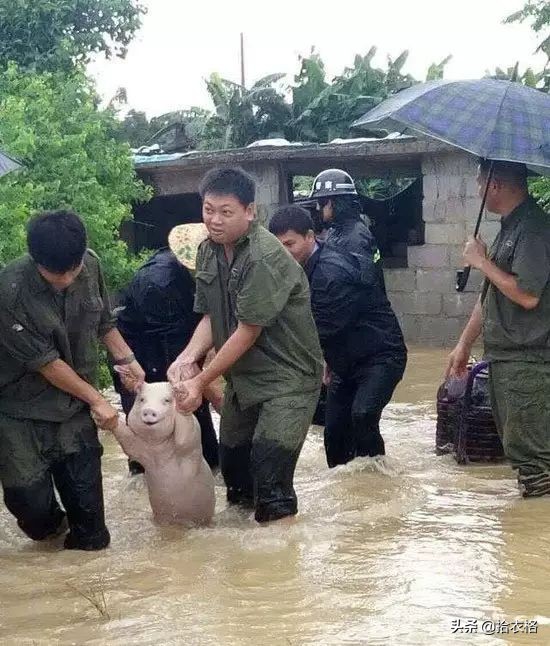 形容平胸搞笑图片,调侃平胸的搞笑图片