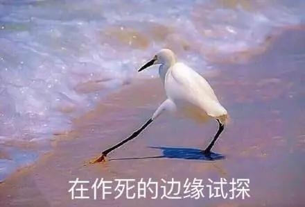 冷冻消融术治疗房颤,冰与火的对抗视频