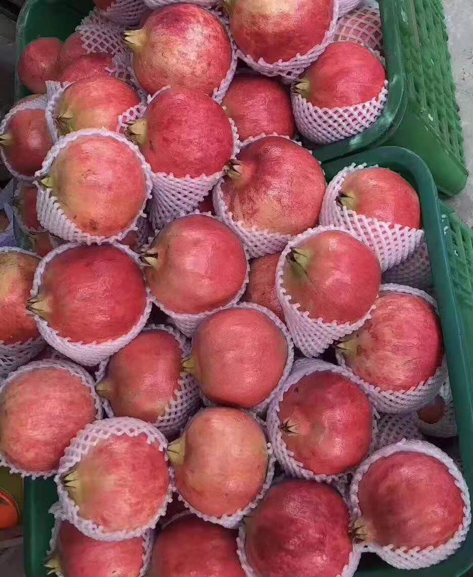 浼氱悊鐭虫Υ涓婂競鐨勫鑺傛槸鍑犳湀,浼氱悊鐭虫Υ涓婂競鏃ユ湡