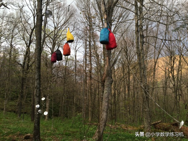 在野外遇到熊该怎么自救,户外遇见熊视频