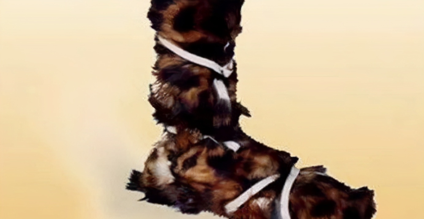 鞋从古至今都一个样,从古至今鞋的演变