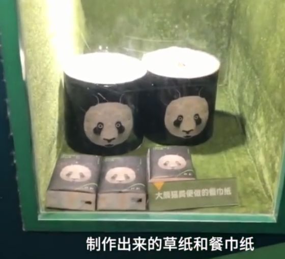 便便有一股酸味是怎么回事,便便有股中药味