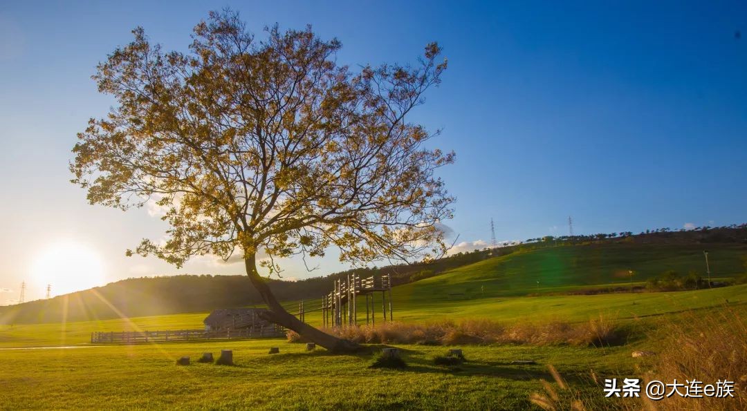 三寰牧场几月份闭园,大连旅顺三寰牧场闭园