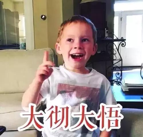 高中报考专业术语大全,高三专业报考指南和技巧