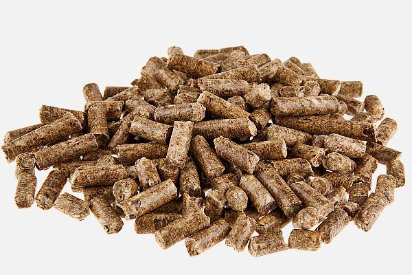 饲料业务员职业规划,饲料销售业务员有前途吗