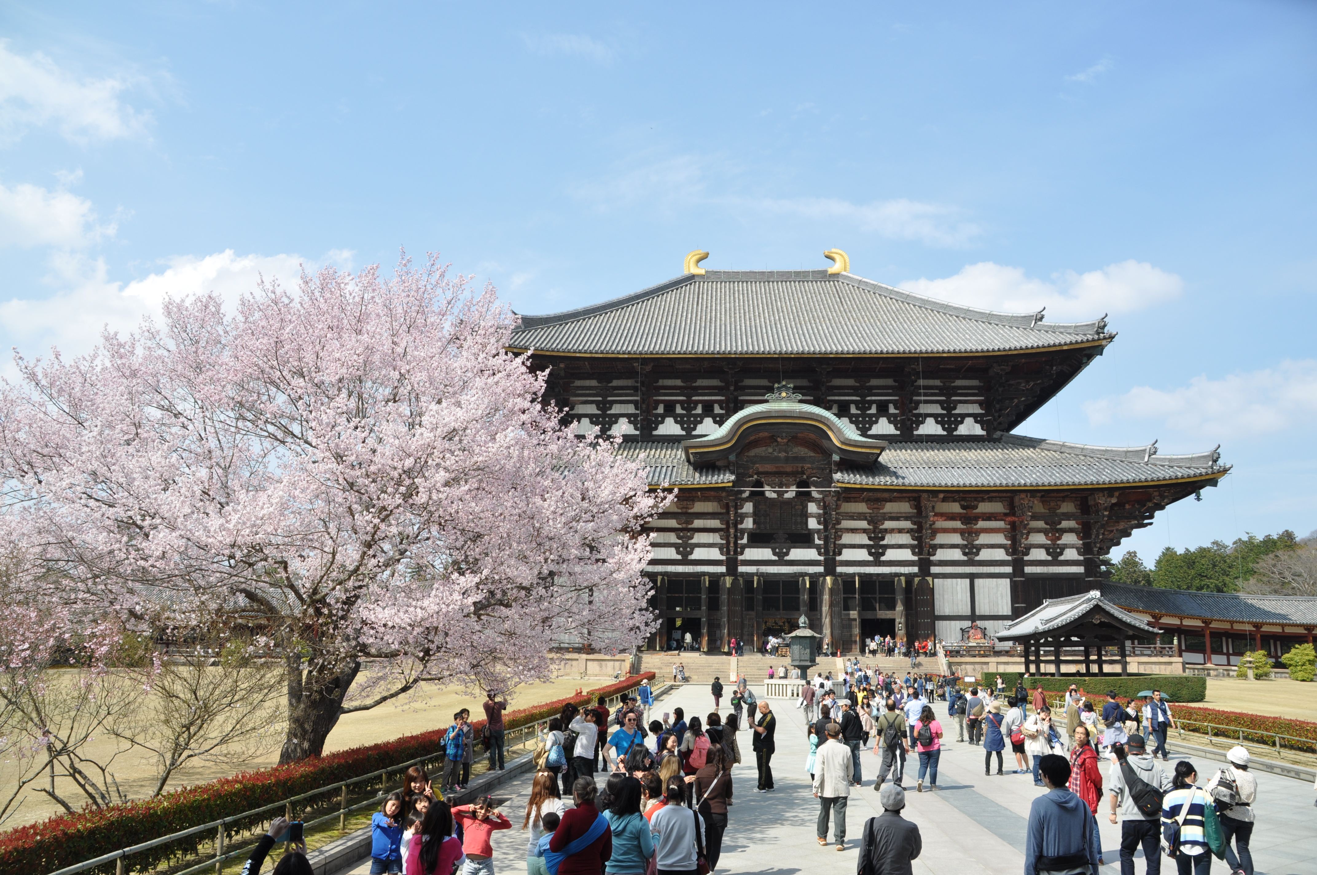 去日本买机票,去日本玩订哪儿的飞机票