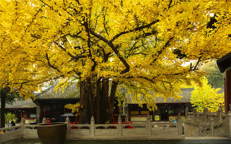 北京赏秋十大打卡地,北京赏秋