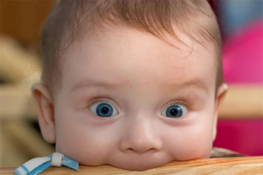 2岁宝宝爱咬人扔东西怎么回事,儿童咬人打人扔东西怎么办