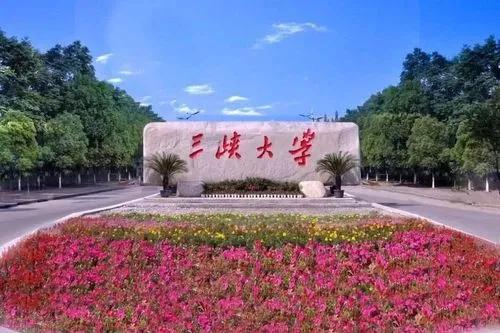 三峡大学在电力系统排名怎么样,2022三峡大学电力一共招多少人