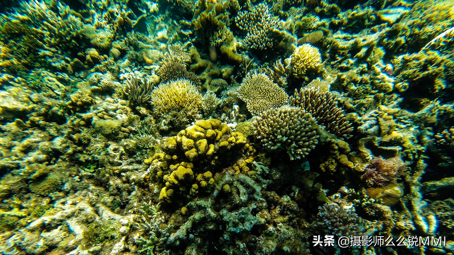 一个可以让人幸福的海岛,巴厘岛最美的海岛