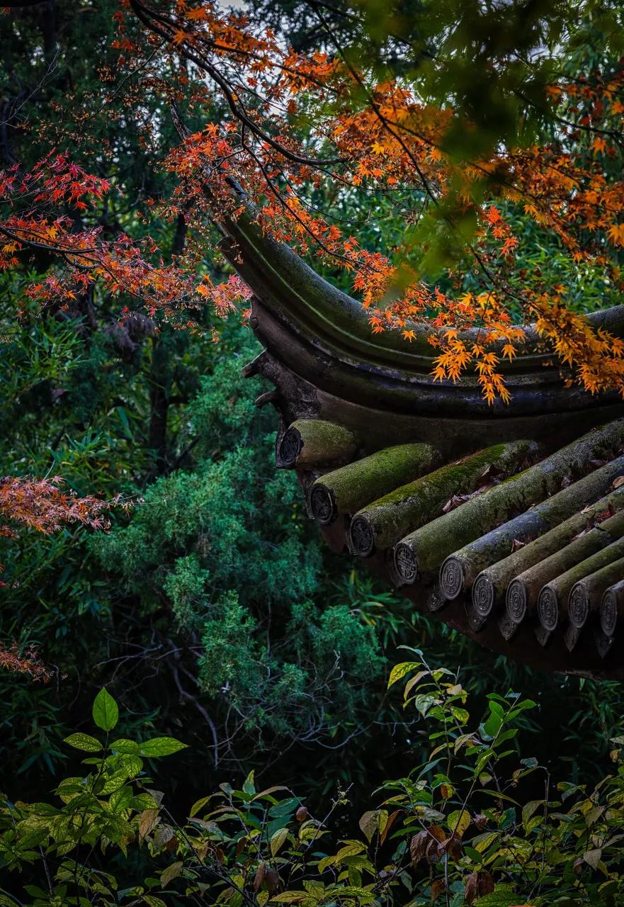 苏州真正的烟雨江南在哪里,江南烟雨苏州古城