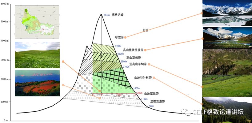 新疆天山世界文化遗产,天山为什么被入选为世界自然遗产