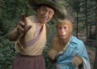 西游记为人至孝者有几个 (西游记中为人至孝者有多少)