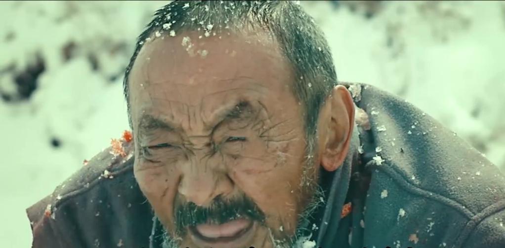 75岁老头被狼群追杀徒手大战狼群,放羊老汉遭遇狼群