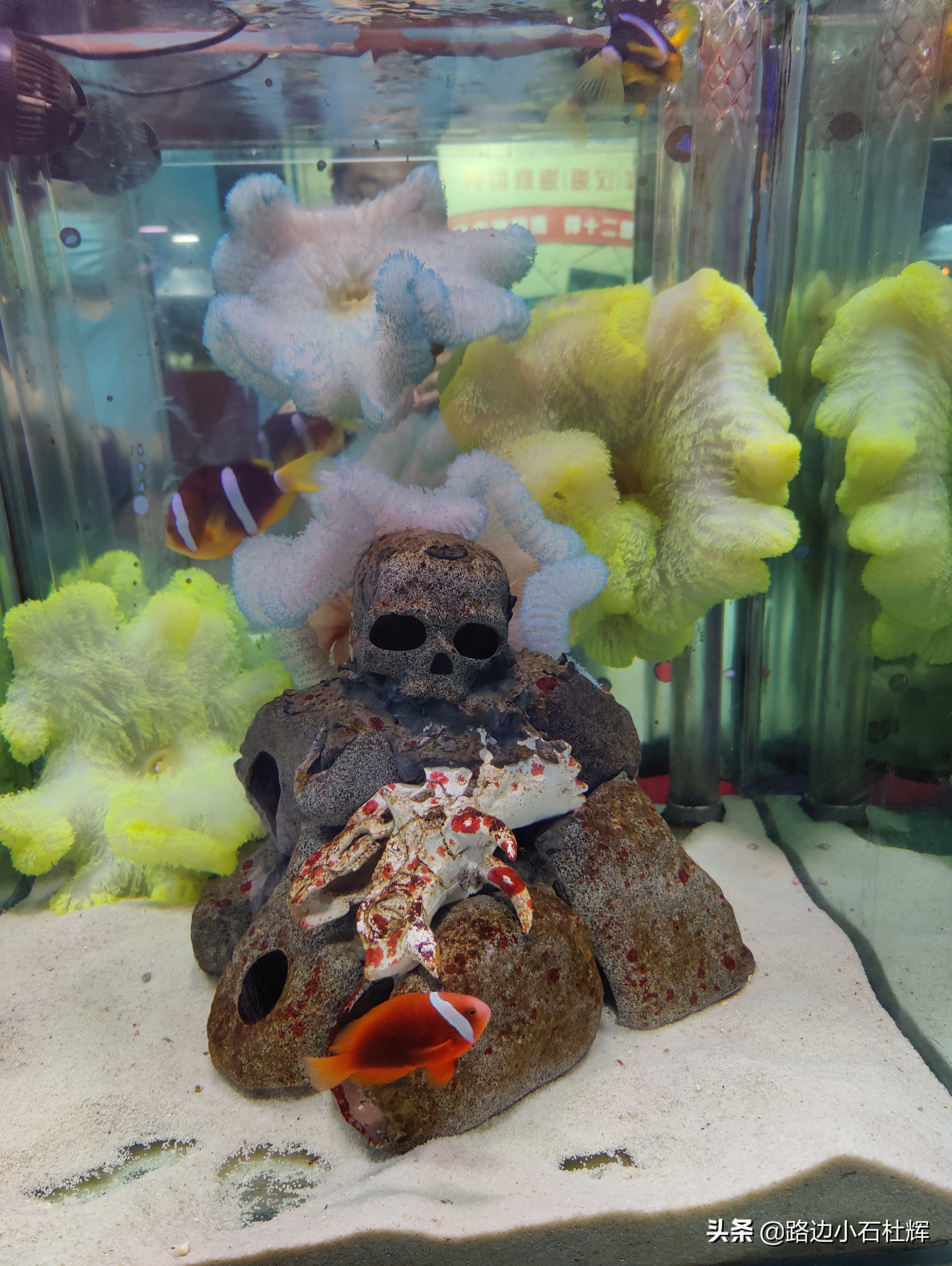 北京海洋馆游玩一览表,北京太平洋海洋馆海底世界