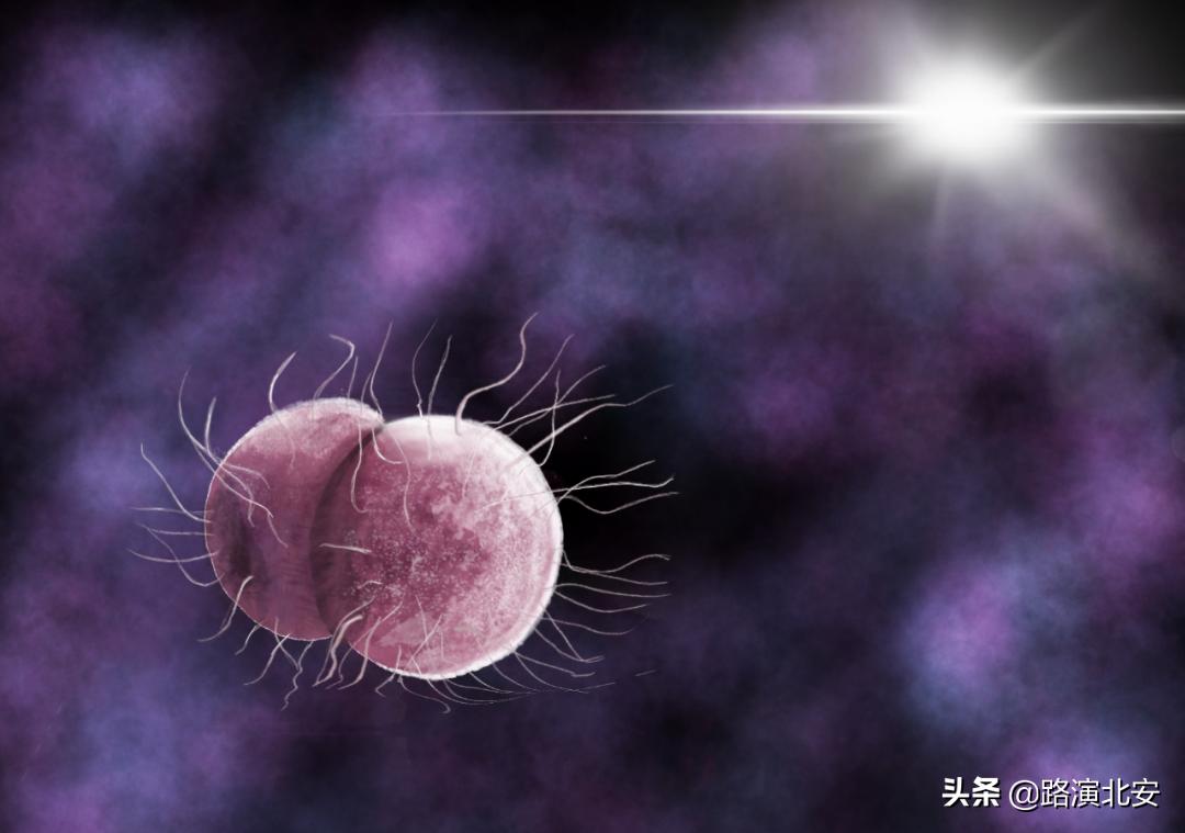 生命的故事绘本视频,生命的故事绘本绘画