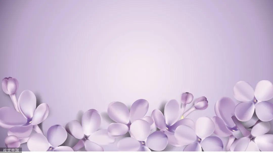 养花种草插画,种草到下单一共分几步