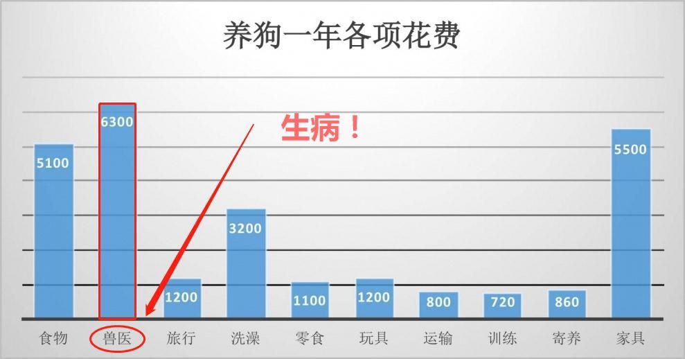 狗狗生病了作为主人该怎么应对,狗狗突然生病主人大哭