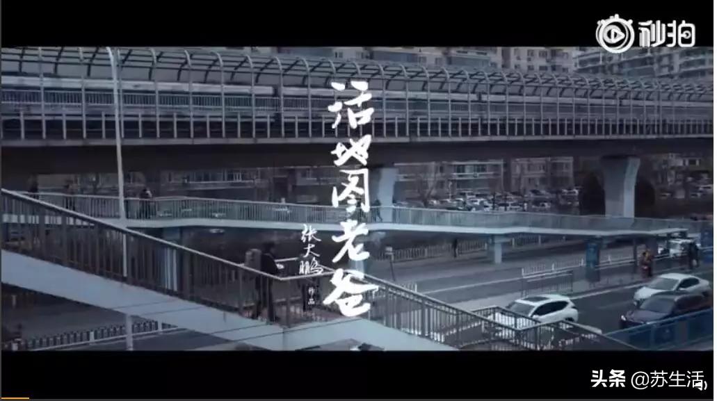 啥是佩奇导演新作,什么是佩奇导演