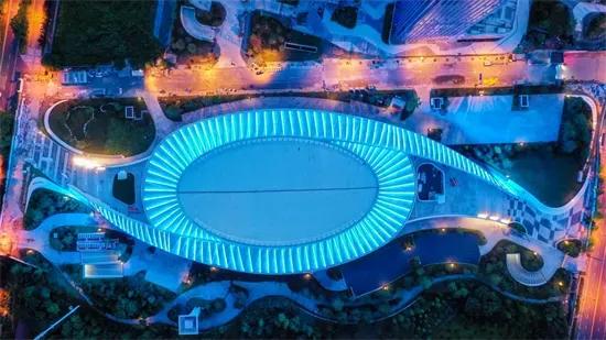 轮滑三大运动种类,轮滑项目分哪几类