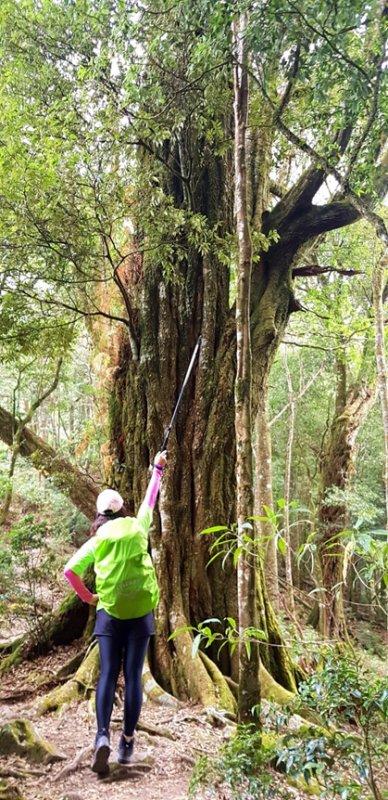 salomon登山鞋不防水,salomon户外鞋如何选择