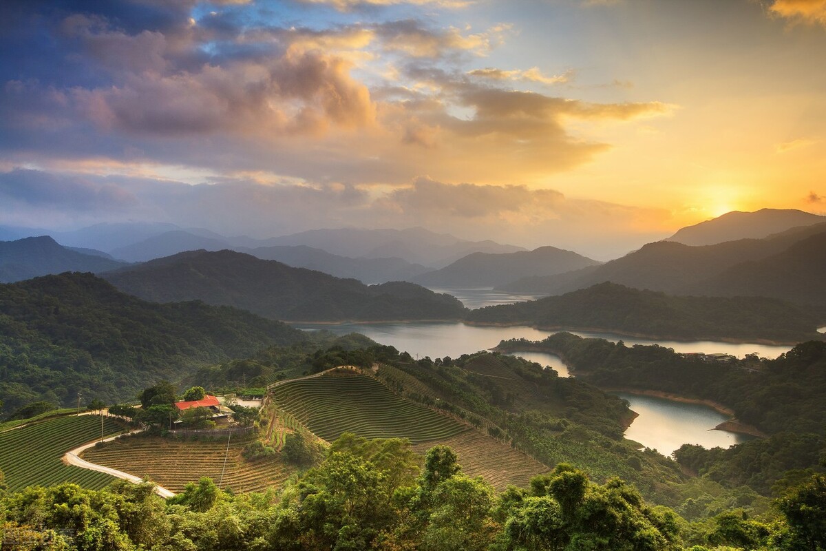 我国四大产茶区及两种特色茶叶,中国十大名茶叶的生长季节