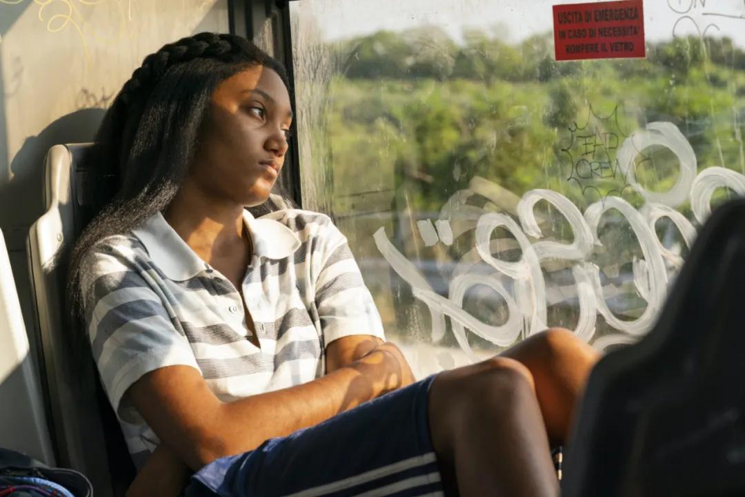 卢卡瓜达尼诺合作电影,卢卡瓜达尼诺电影风格