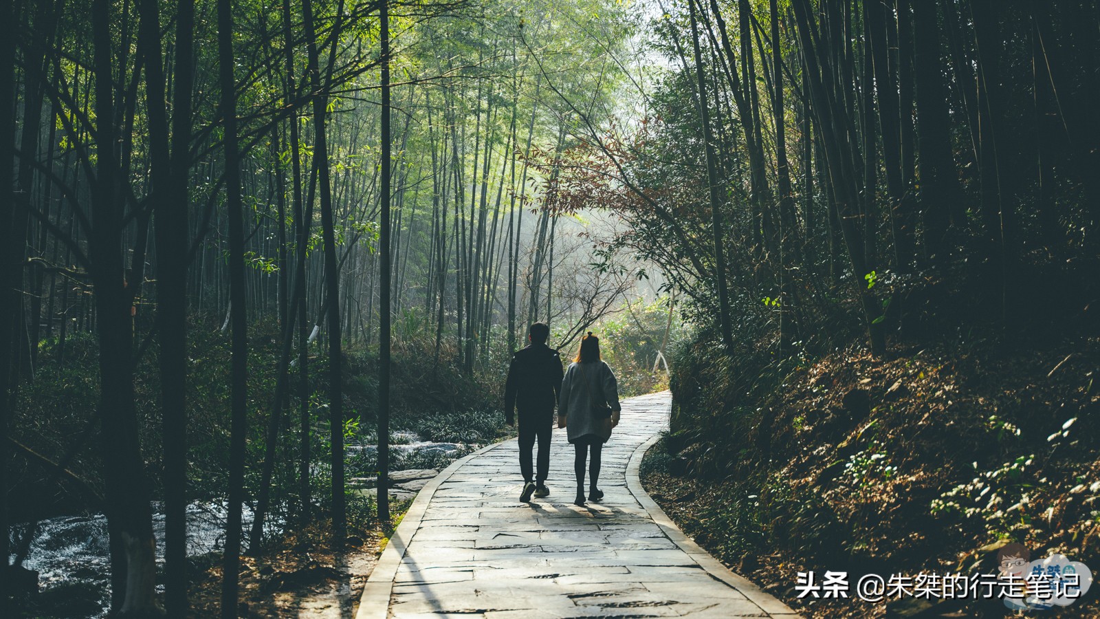 苏皖最美竹海景区,苏皖最美的竹海