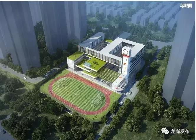 深圳这个区将增2所大学,深圳目前重点发展的几个区域