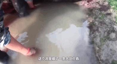 海上直播赶海视频,山东海阳赶海直播