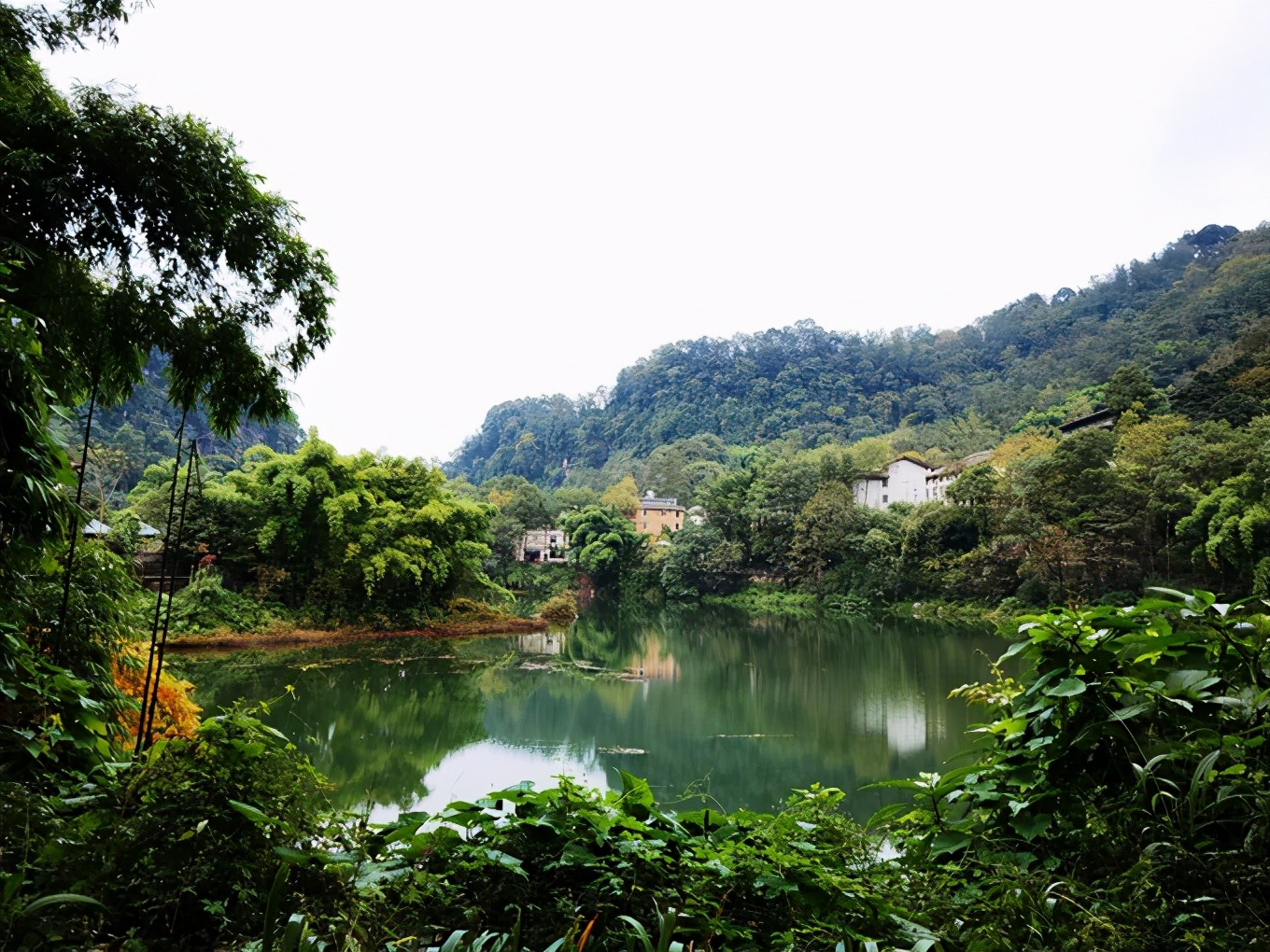 深秋峨眉风光好——「清音阁/金顶/红珠山温泉」三日行