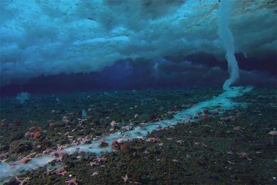 南极最吓人的冰柱,奇特的南极死亡冰柱