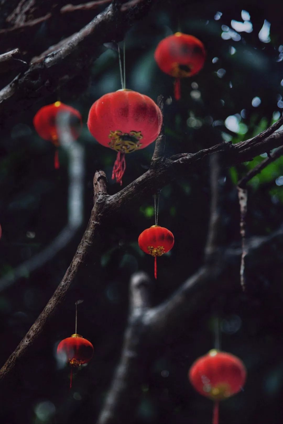 寻找有年味的画面,寻找年味的图片大全