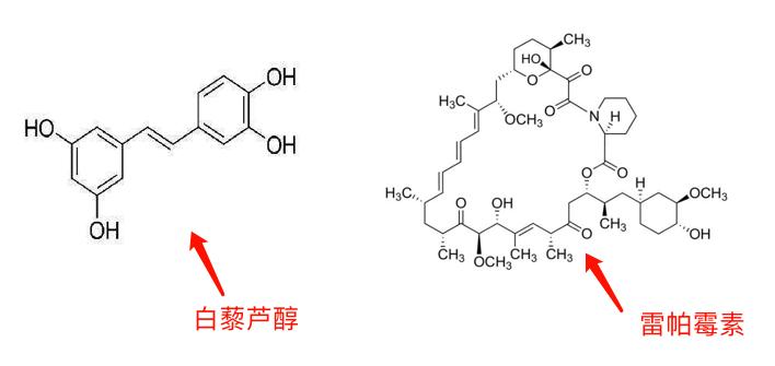 让一部分人先富起来的重要性,让一部分人先富起来的正确理解