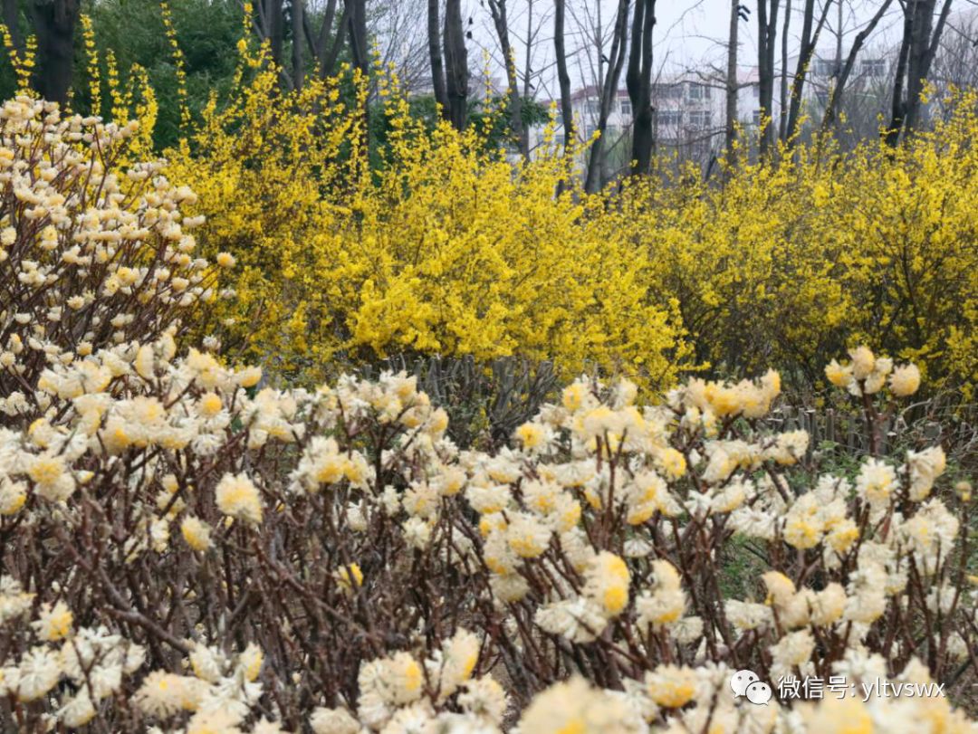 杨凌现状,杨凌最新照片
