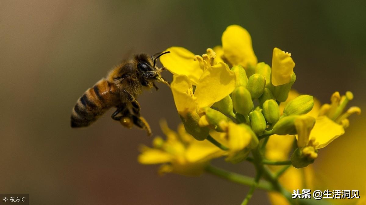 人心叵测要小心提防,人心叵测永远琢磨不透
