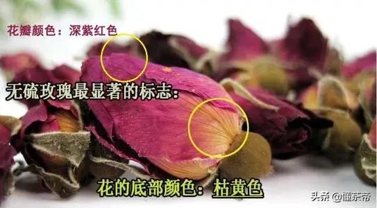 怎么分辨玫瑰花干有没有熏硫磺,玫瑰花干硫磺熏过与没熏的区别