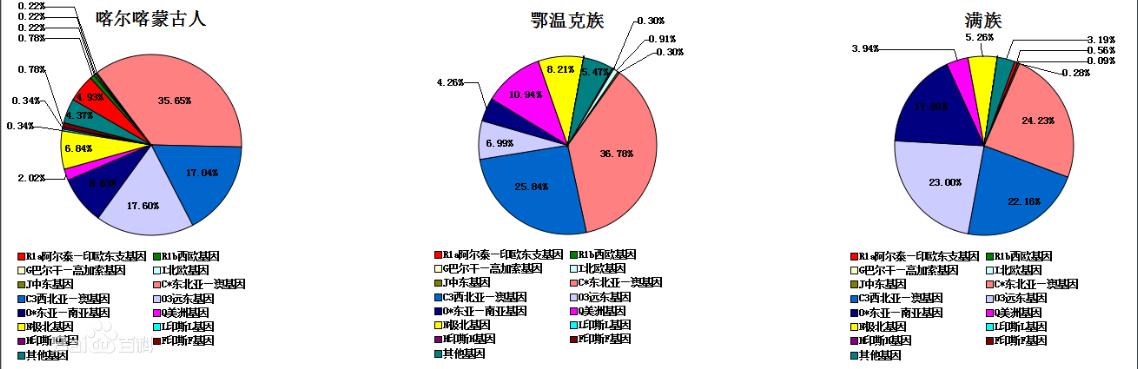 各民族基因对比,中国民族的遗传基因