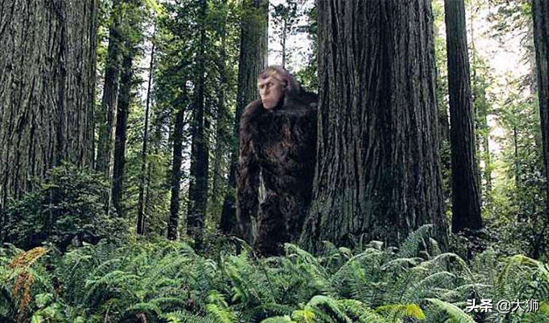 高加索野人之谜,破解高加索女野人之谜