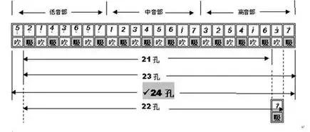 半音阶口琴和十孔口琴哪个更难学,新手学口琴入门零基础教程