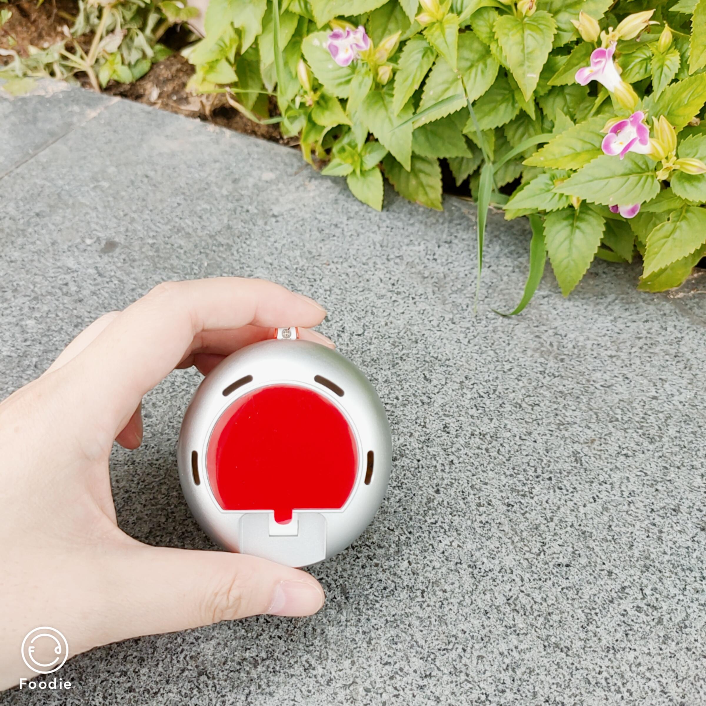 小浣熊儿童声波电动牙刷测评,宠物电动牙刷好不好