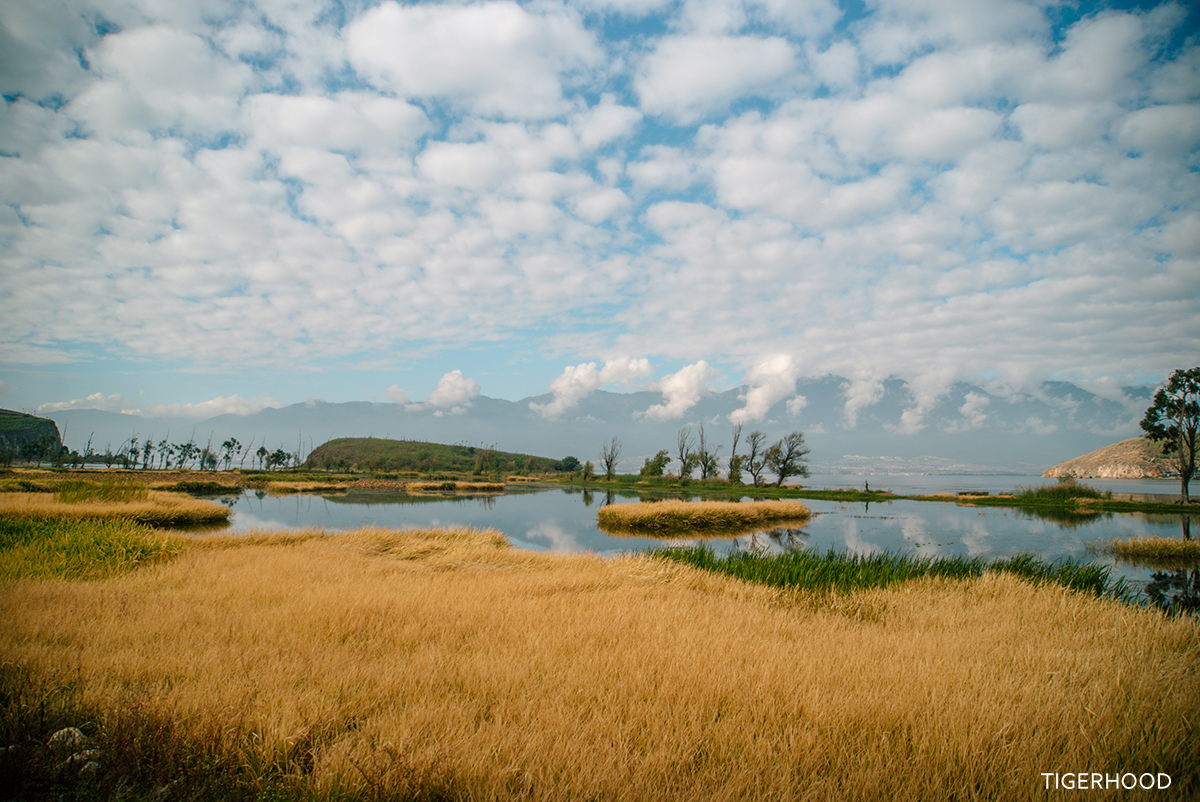 太格有物怎么样,太格有物