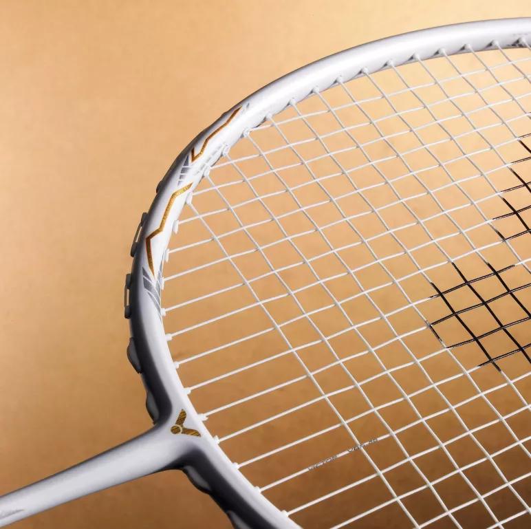 2020年世界羽*总联**决赛安东森、戴资颖分获男女单打冠军