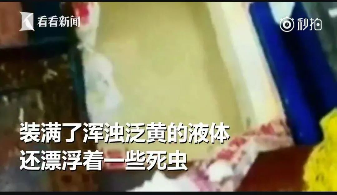 一根甘蔗榨五瓶蔗汁？！知道真相的我果断选择了……