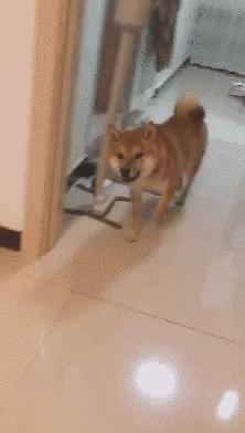 搞笑大哥爆笑图片,搞笑动图走一波