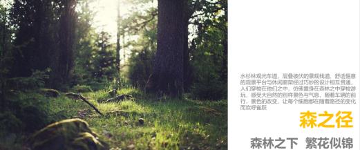 长沙龙湖日盛奕境园林,长沙龙湖日盛奕境怎么样