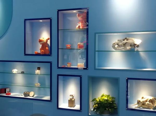 刚刚，无锡儿童口腔医院正式启用了