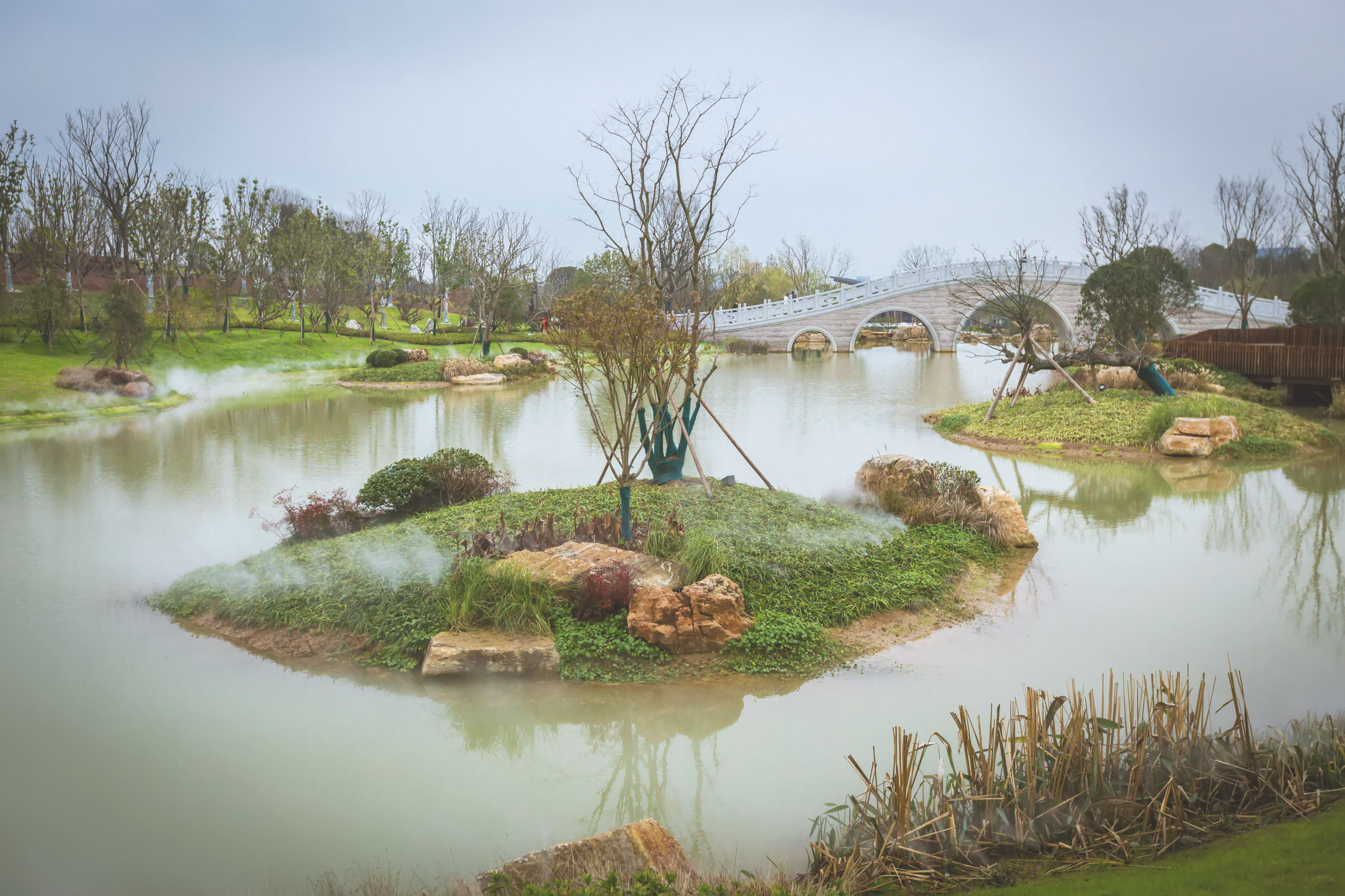 释迦牟尼舍利子头盖骨,释迦牟尼的真身头盖骨